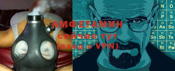 гидра Белокуриха