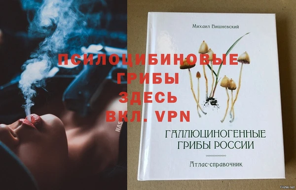 гидра Белокуриха